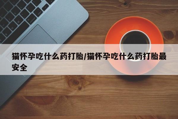 怀孕个月能用流产药吗猫怀孕吃什么药打胎/猫怀孕吃什么药打胎最安全