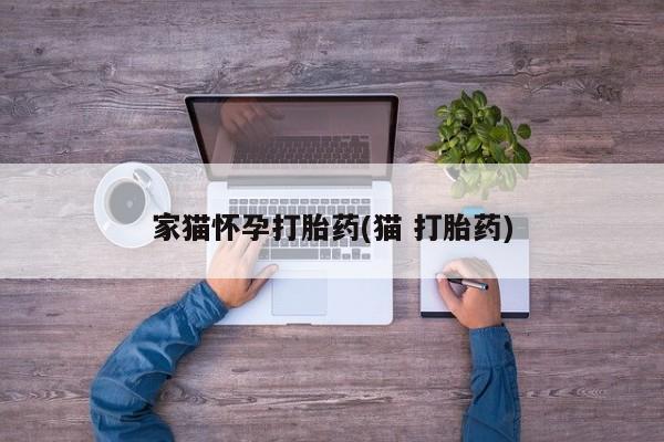 怀孕个月能用流产药吗家猫怀孕打胎药(猫 打胎药)