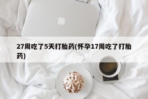 怀孕个月能用流产药吗27周吃了5天打胎药(怀孕17周吃了打胎药)